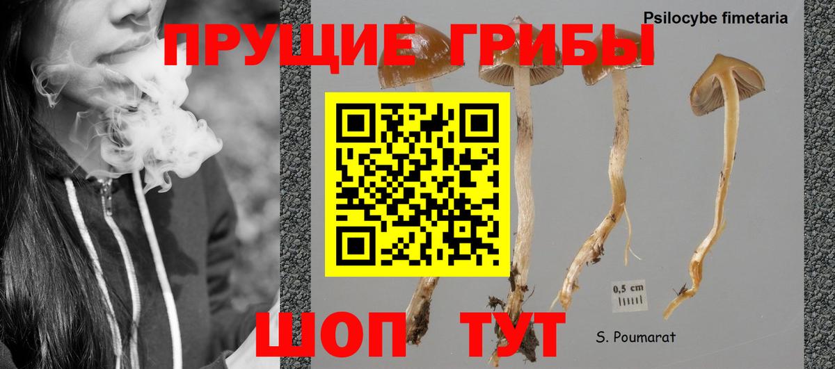Псилоцибиновые грибы Magic Shrooms Вологда