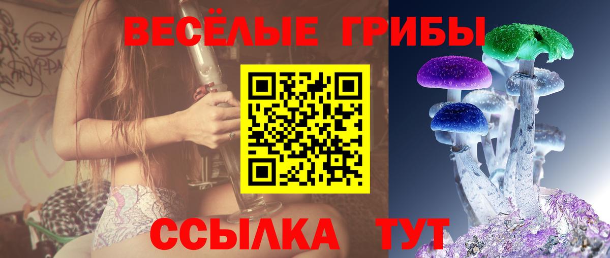 Вологда  Галлюциногенные грибы мухоморы  Вход с VPN 